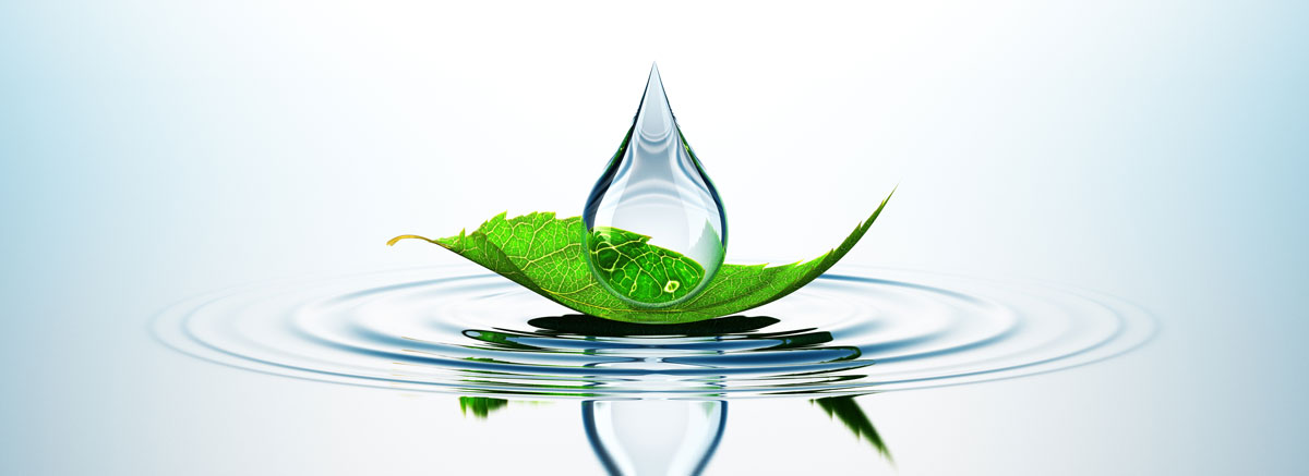 Structural and physicochemical properties of GES Biotek media boost efficiency